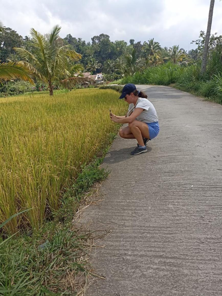 Tetebatu Terrace Homestay Buitenkant foto