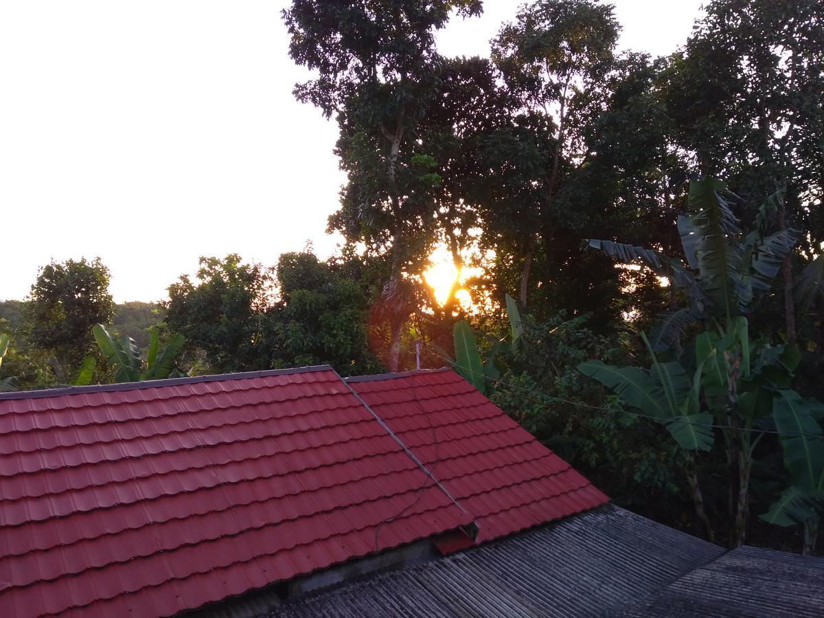 Tetebatu Terrace Homestay Buitenkant foto