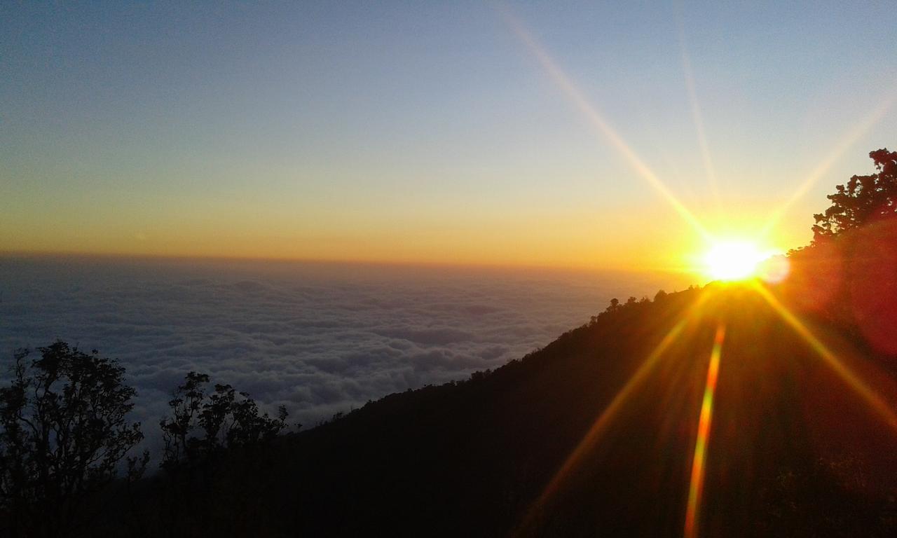 Tetebatu Terrace Homestay Buitenkant foto